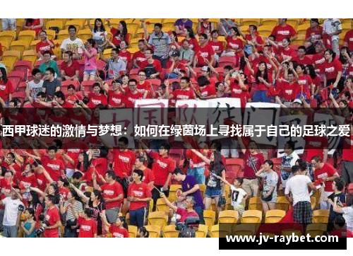 西甲球迷的激情与梦想：如何在绿茵场上寻找属于自己的足球之爱