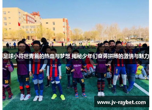 足球小将世青篇的热血与梦想 揭秘少年们奋勇拼搏的激情与魅力