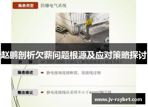 赵鹏剖析欠薪问题根源及应对策略探讨